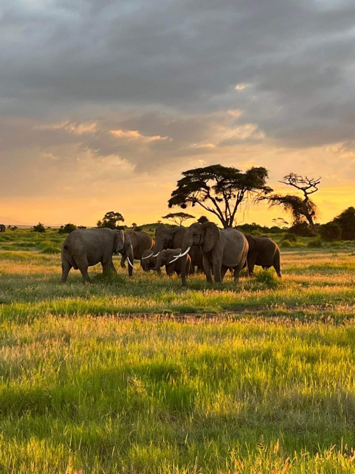 two Days Tsavo East with an atmospheric hotel with a swimming pool and a water hole