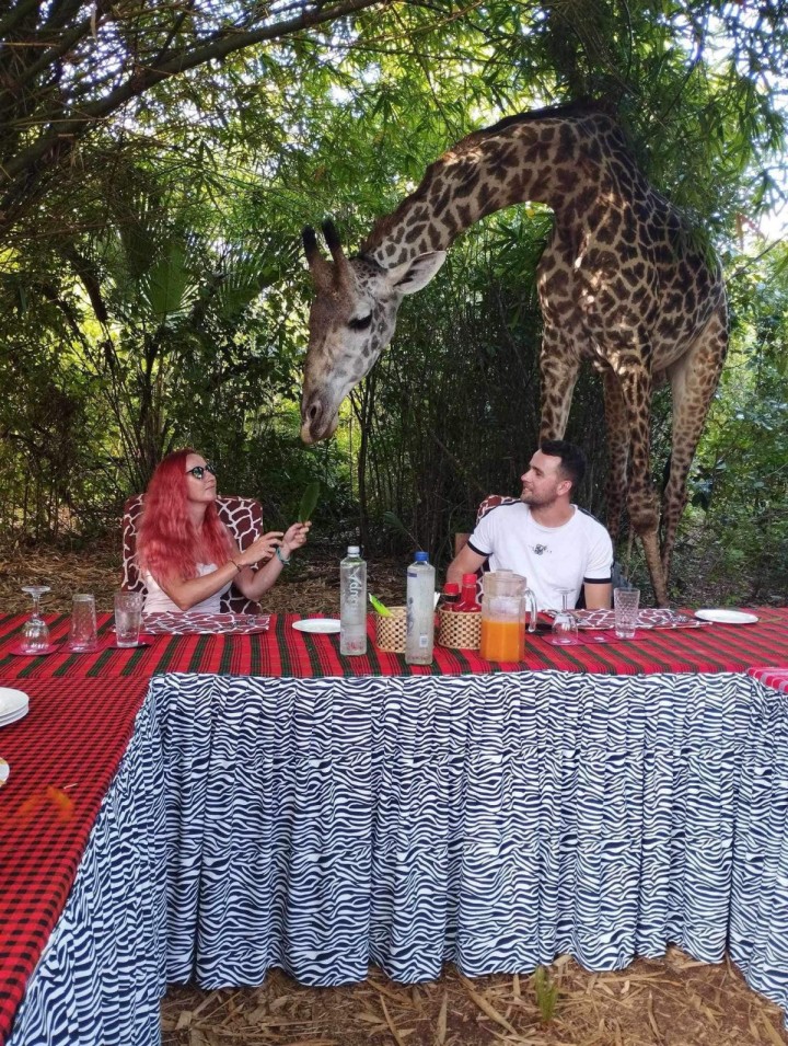 Uwielbiany przez klientow LUNCH Z ZYRAFA