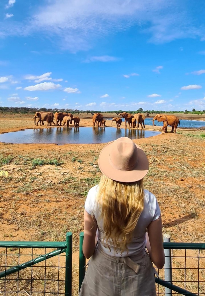 2 Safari TSAVO  EAST i TSAVO WEST  