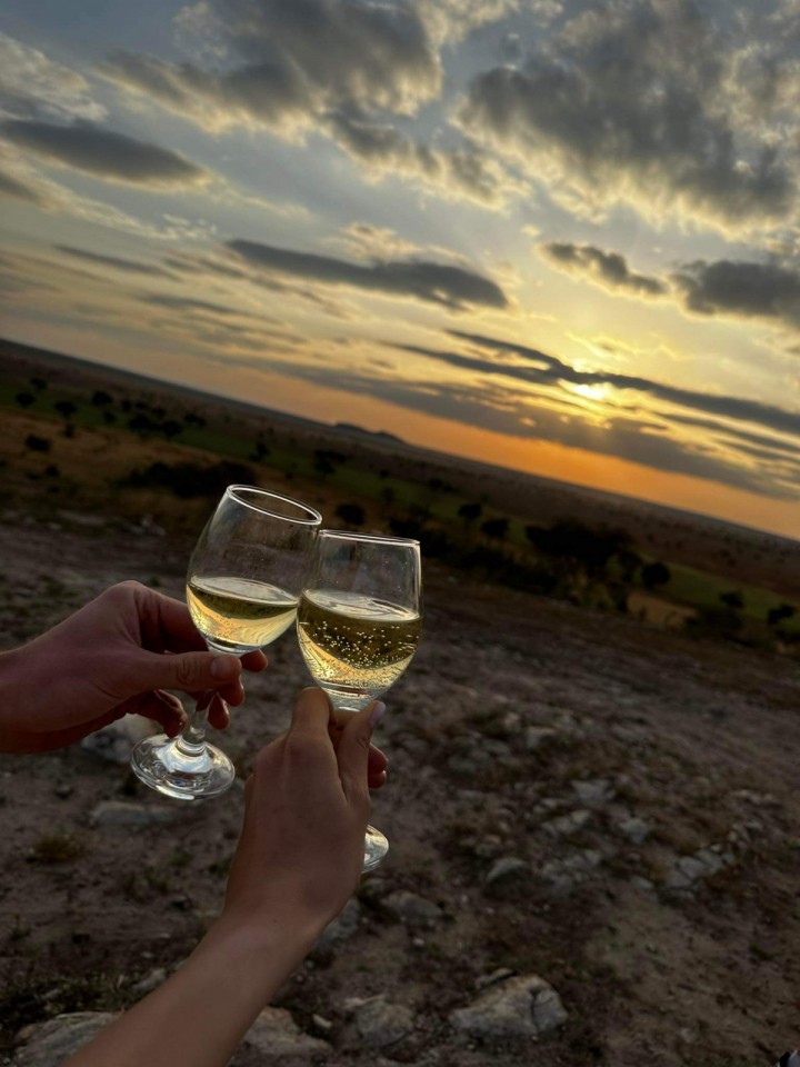 Safari TSAVO EAST and WEST